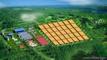 老撾甘蒙省彭下-農(nóng)波礦區(qū)納拉礦